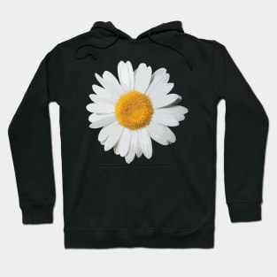 Daisies II Hoodie